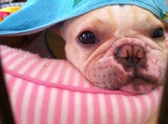 もう起きたけれど、でたくないんだぜ...