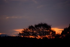 20111029-172921