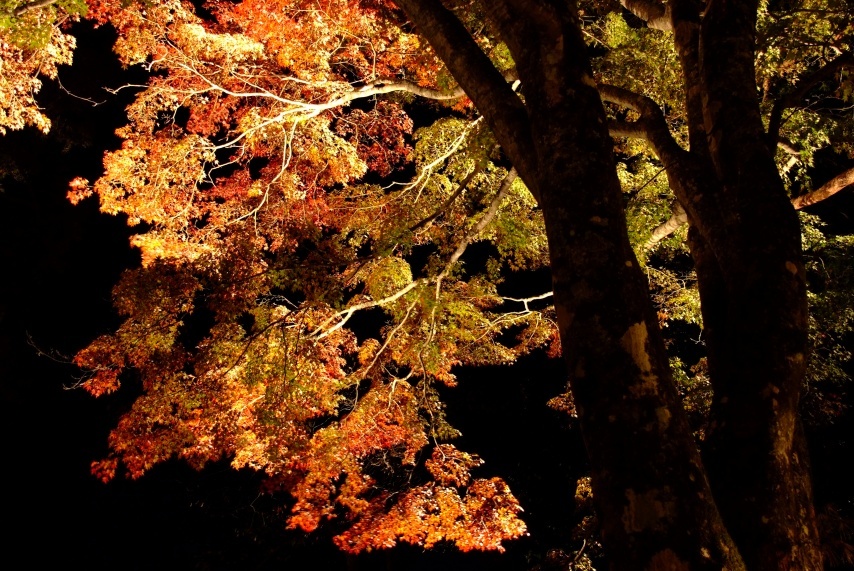 20111029-193659