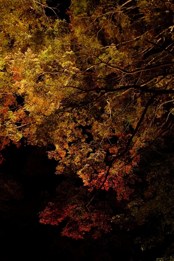 20111029-192320