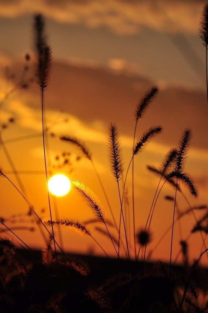 生駒の夕焼け