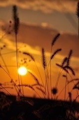 生駒の夕焼け