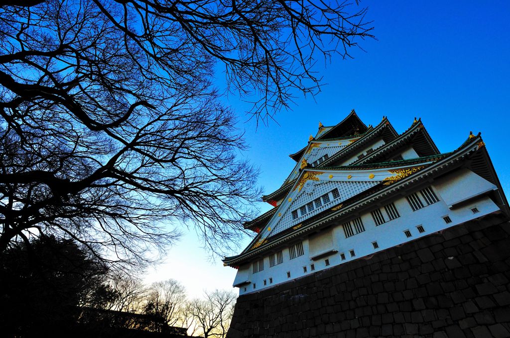 早朝の大阪城