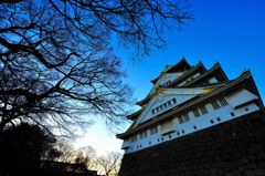 早朝の大阪城