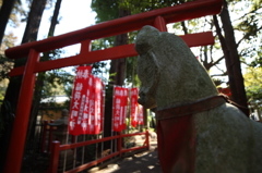 神使 - 4