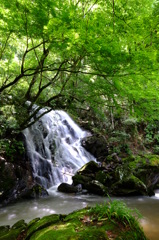 そうめんの滝･･･だそうです。