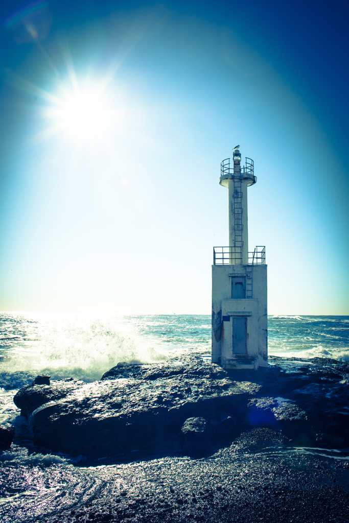 冬の海、冬の太陽.