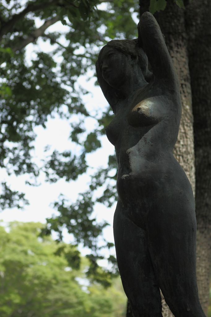 春友彫刻の森運動公園 - 12