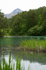 この山は？