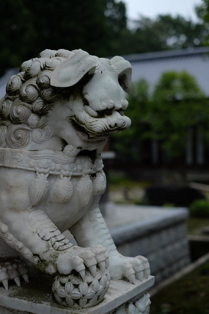 獅子と狛犬