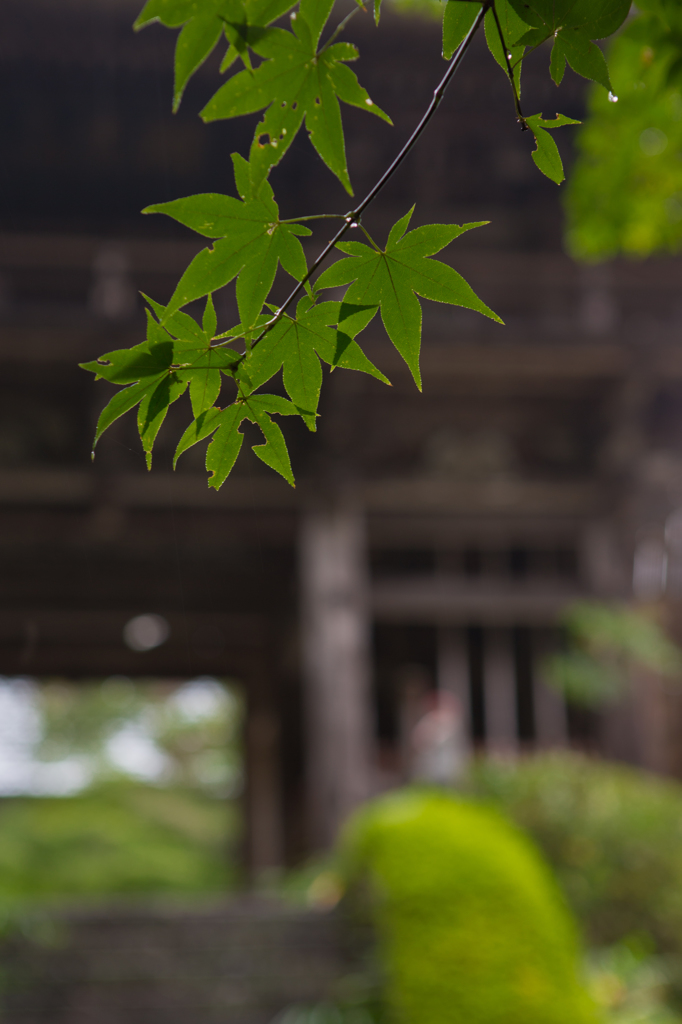 桐生市 2014-11(01)