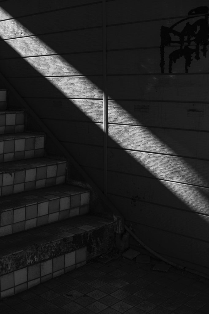 Light.