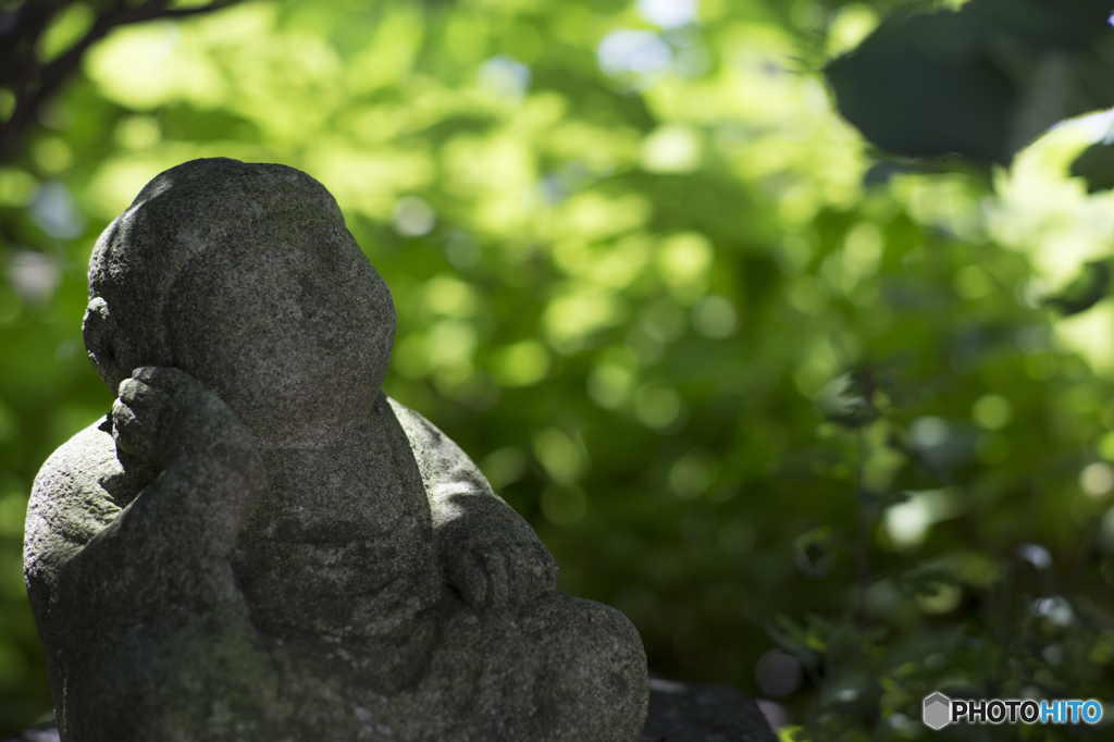 木陰で何を思う・・・