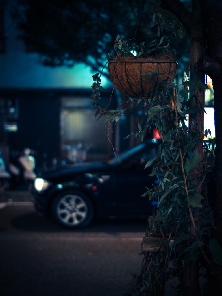 夜の通りを眺める.