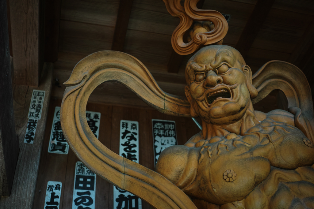 左尊.