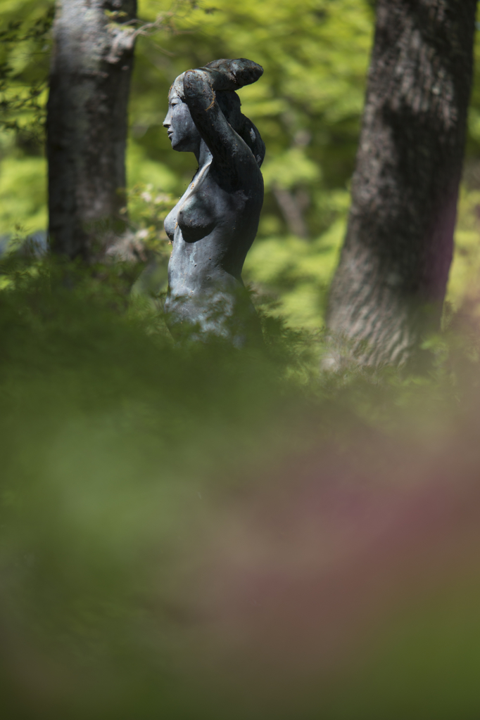 Peeping - 2