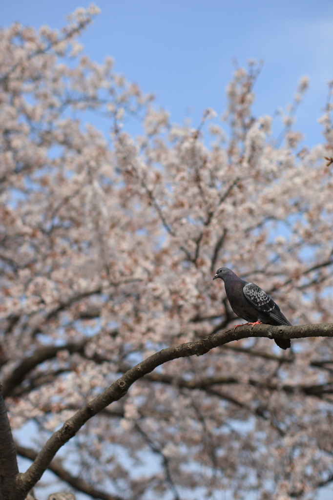 ひとやすみ。