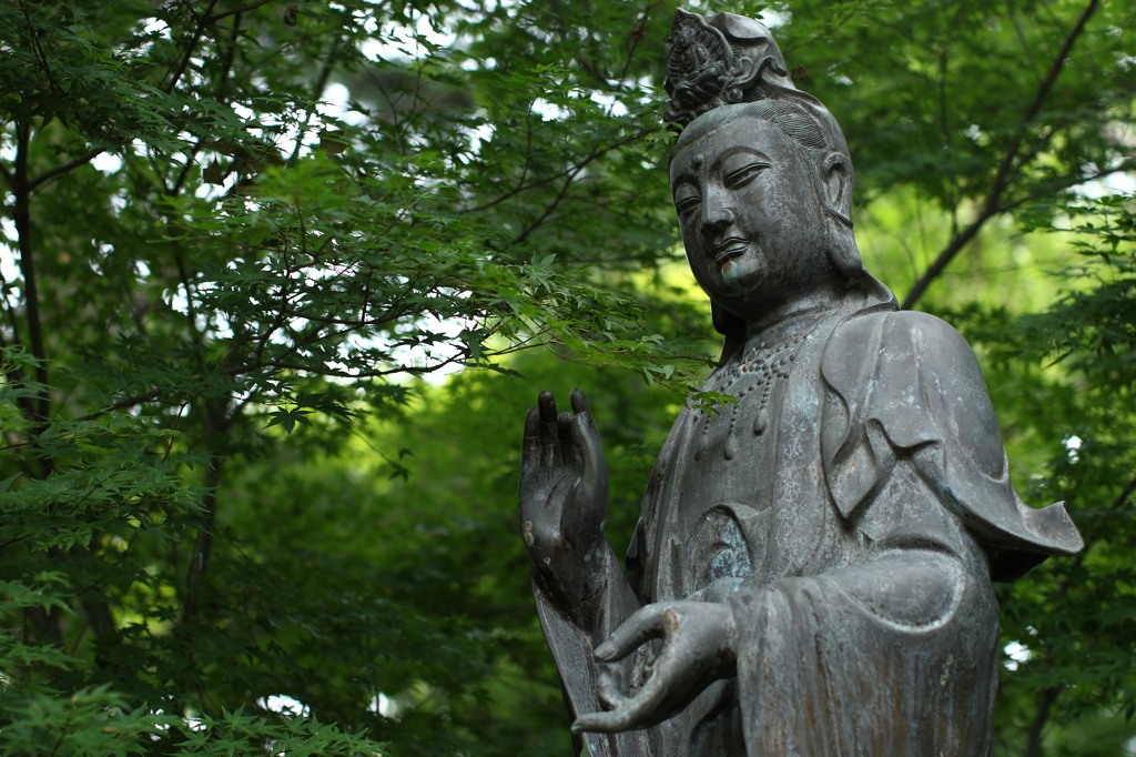 緑の中で。