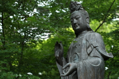 緑の中で。