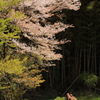 朽ちる