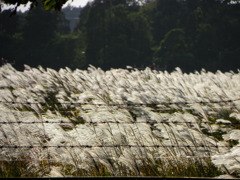 DSCN1034