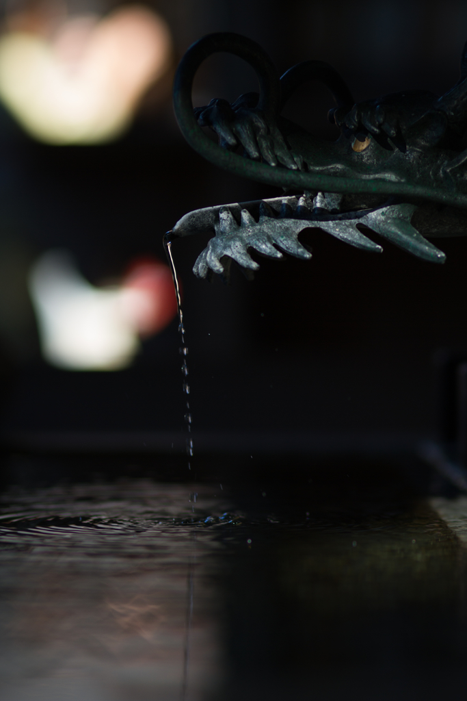 吐水龍.
