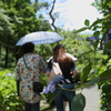 梅雨の晴れ間