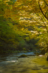 黄金色の天井