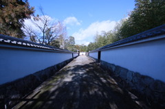 過去への道…