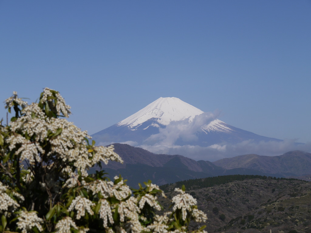 富士山１