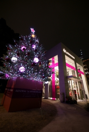 日比谷花壇とクリスマスツリー