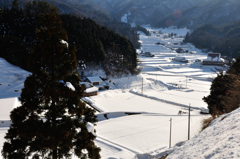 里山の輝き