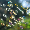 colors