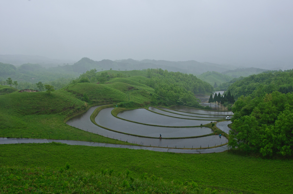 雨に霞む扇田