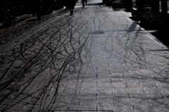 それぞれの道