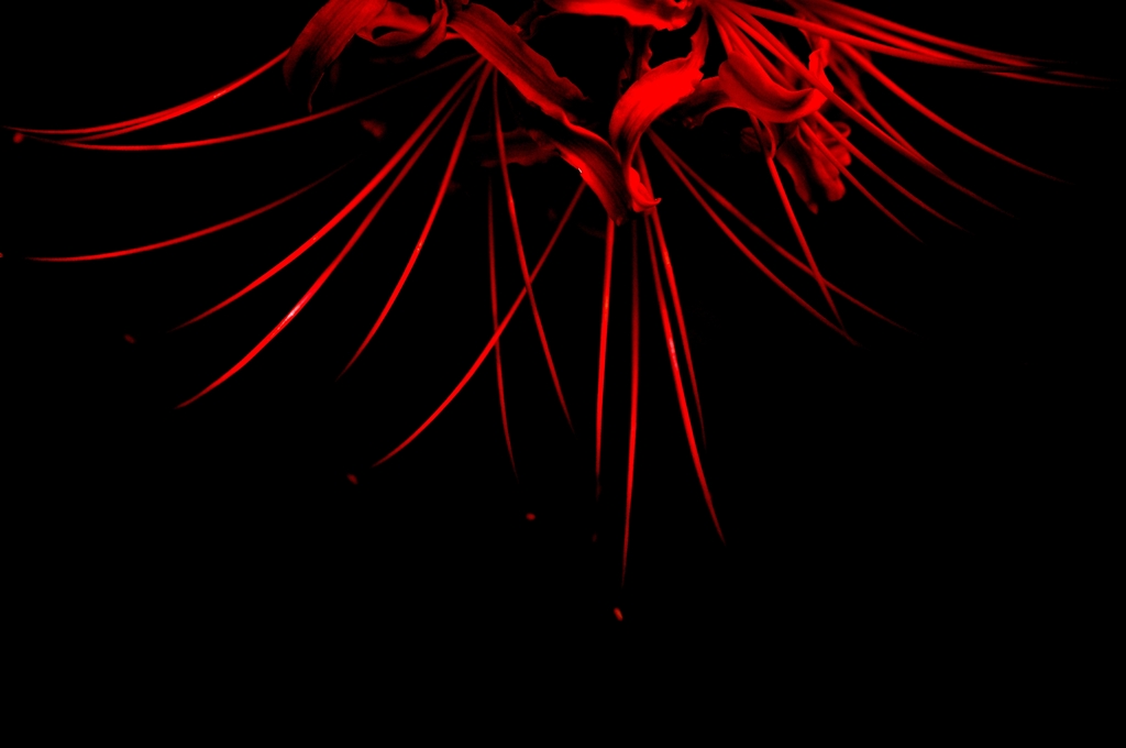Red line
