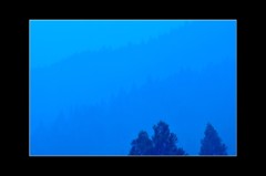 Blue gradation