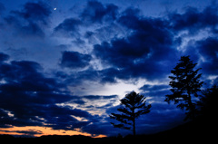 twilight 