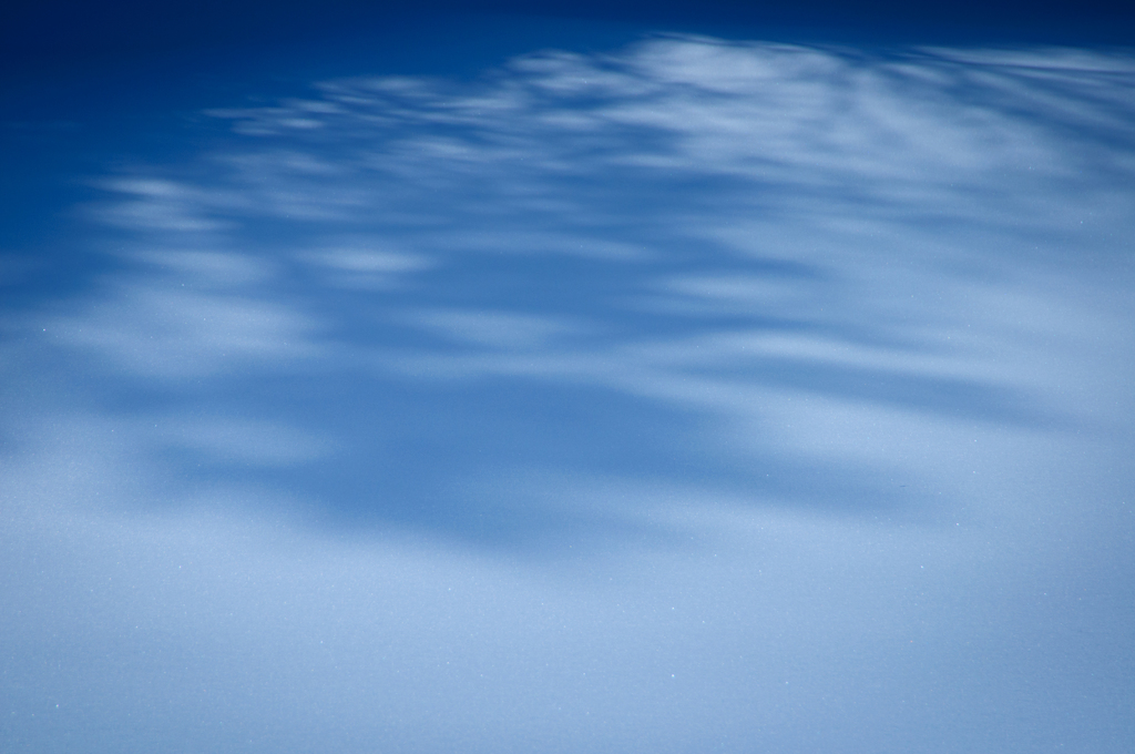 Dance with shadow #２