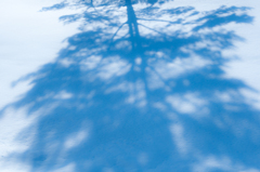 Dance with shadow #３