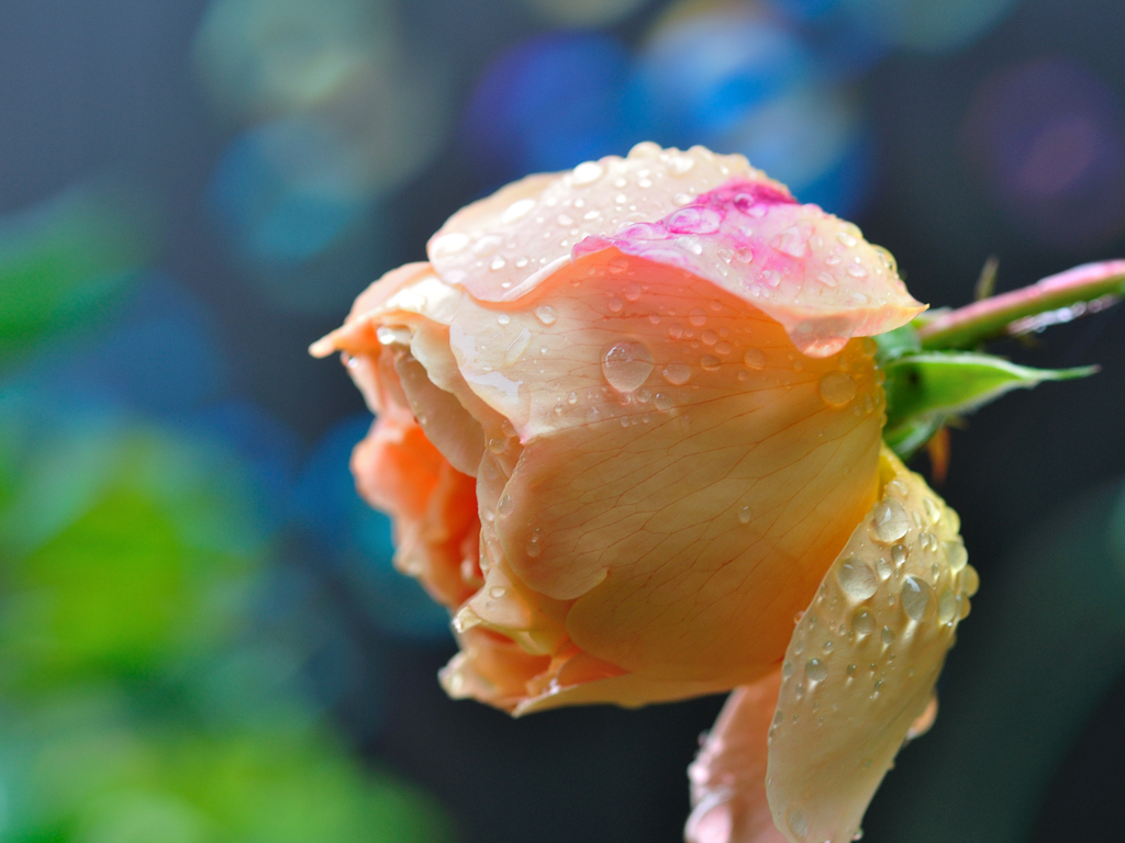 Fragile