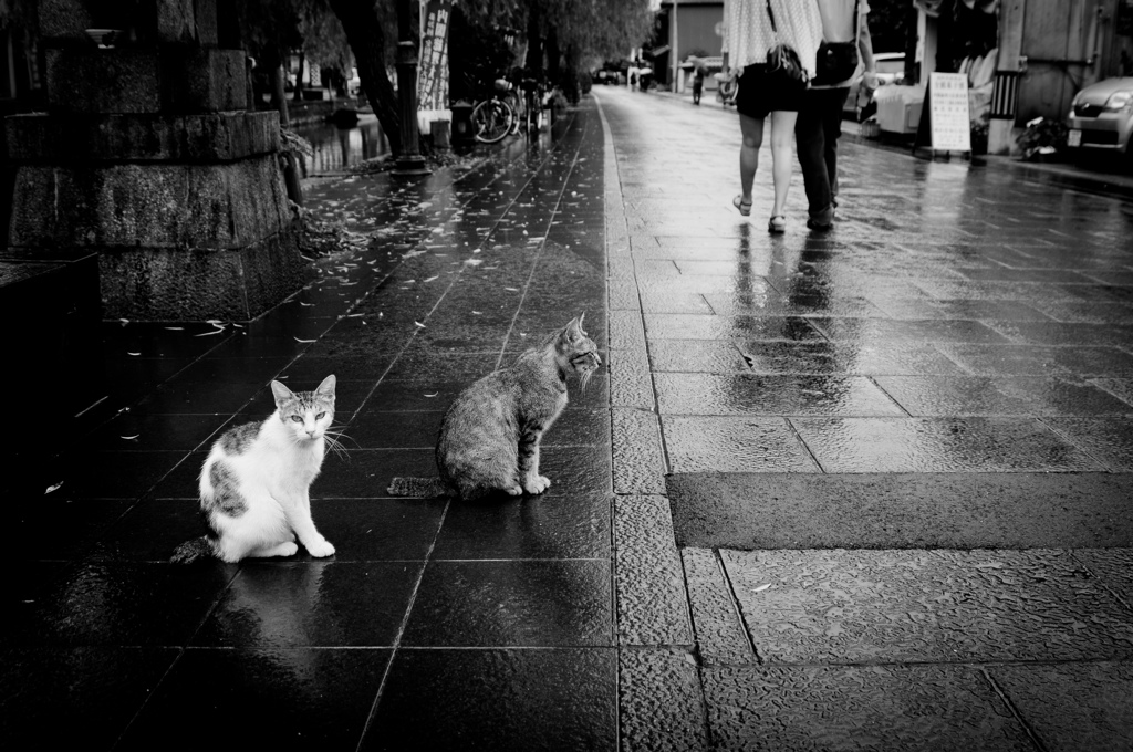 Rainy day