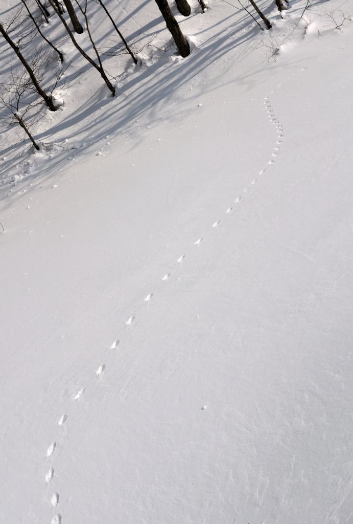 その先に
