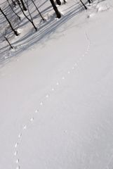その先に