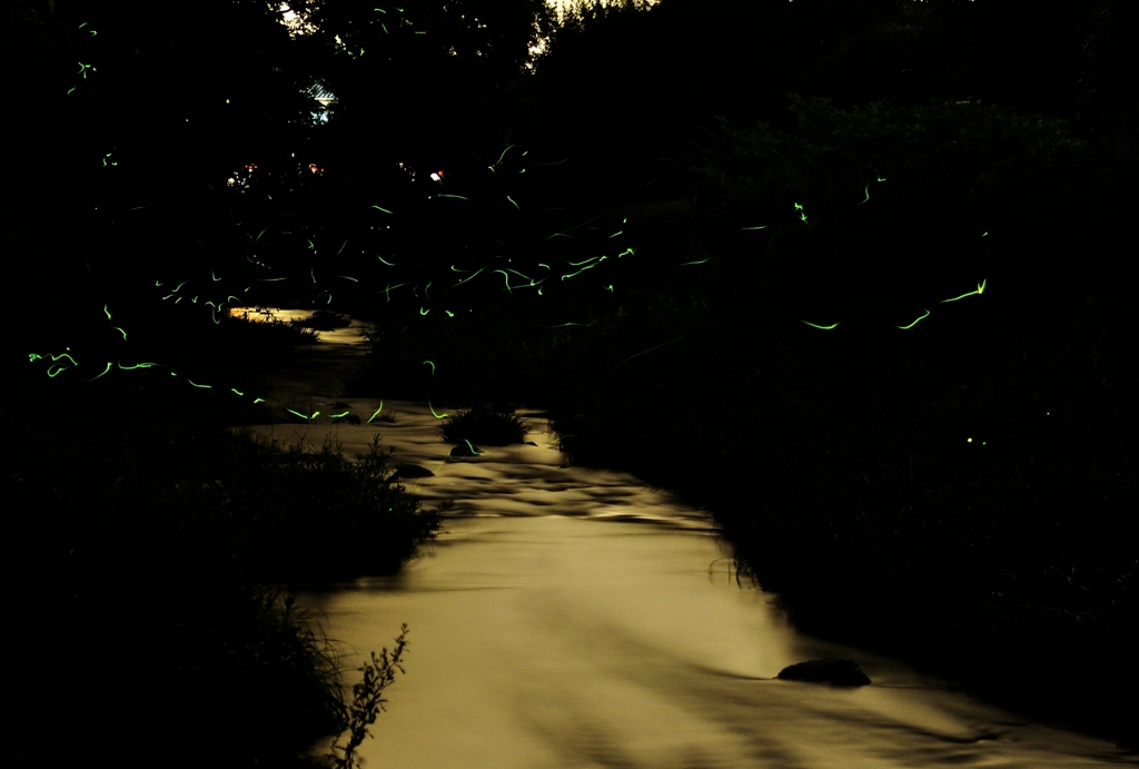 Gold River 