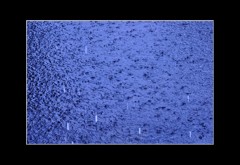 雨