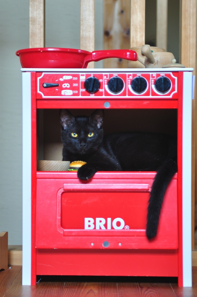 ゆるＣＡＦＥ　－　オーブン猫　－