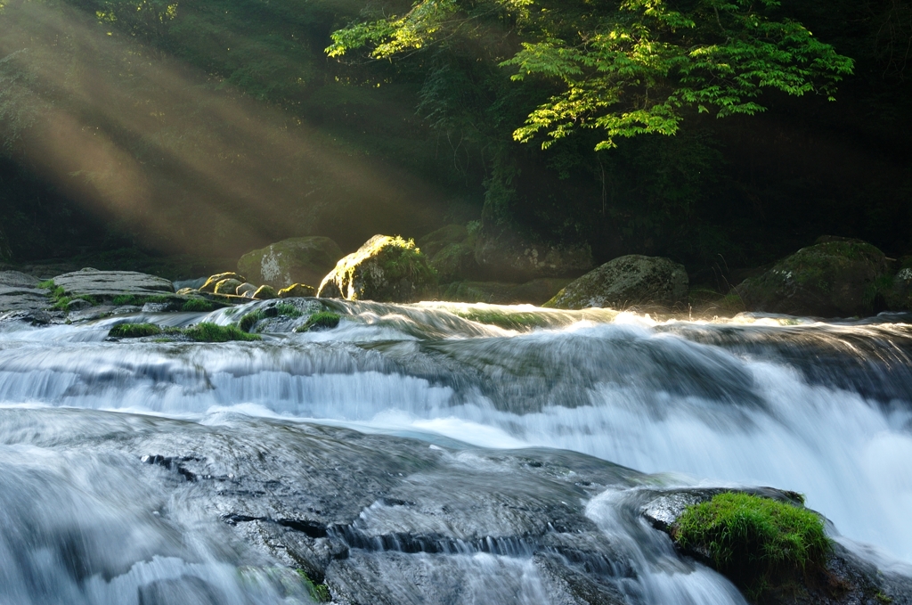 The rays of the sun