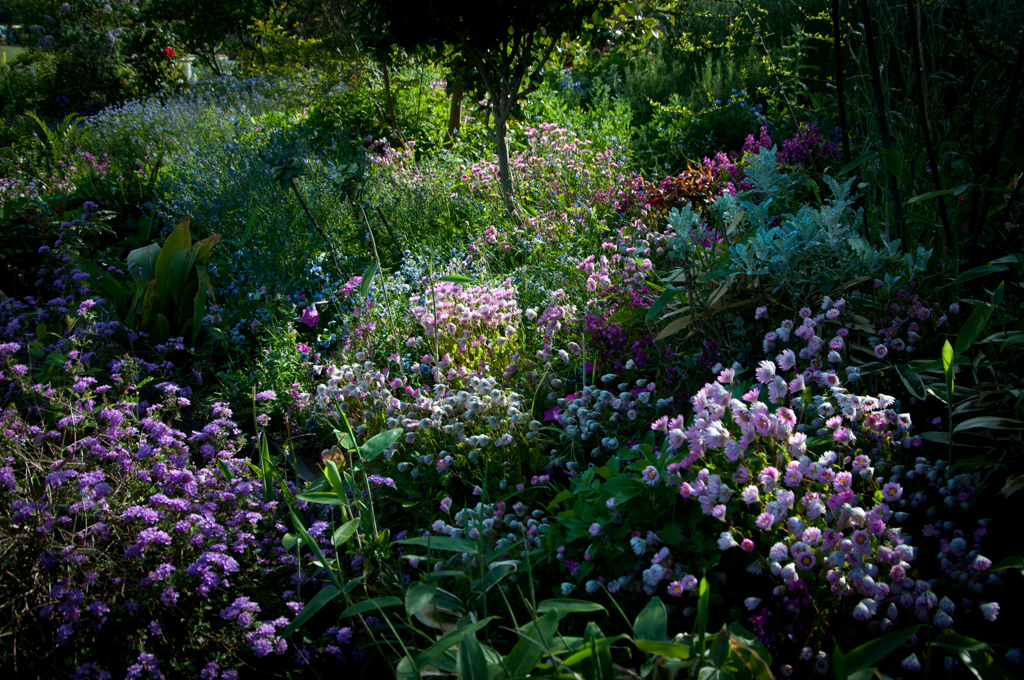 Dramatic garden