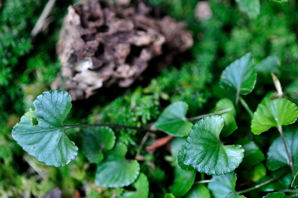 数えきれないＬＯＶＥ（ハート）